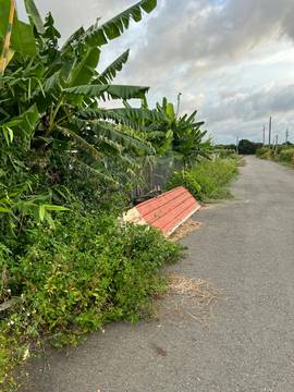 四湖鄕鹿場國小旁雙面路果園農地