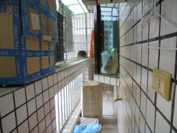 市議會,部立醫院,中華電信華廈住家