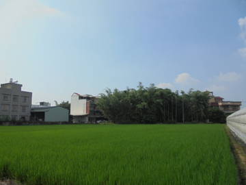近民雄市區,中正大學增值農地