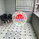 #4619 北區近大港國小店面住家