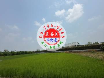 #4609 麻豆有厝伴農地