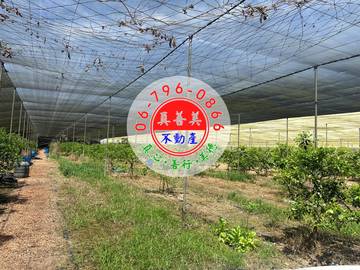 分享