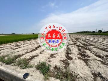 #4248西港水源充沛農地