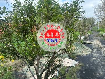 #4526 西港有自來水、農電農地