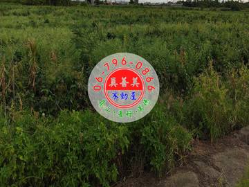 #4753 佳里適農保農地